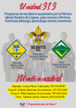 Unidad 313 – Scouts BSA