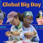 Global Big Day - Evento Mundial - 24 horas de Observación de Aves