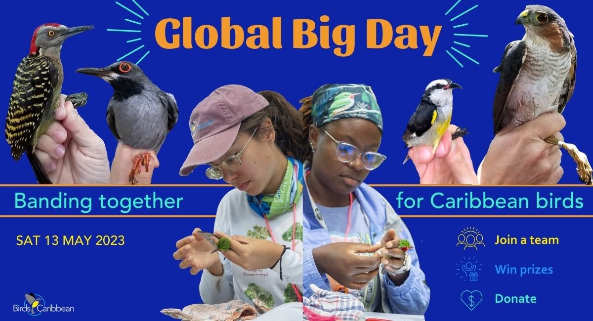 Global Big Day - Evento Mundial - 24 horas de Observación de Aves