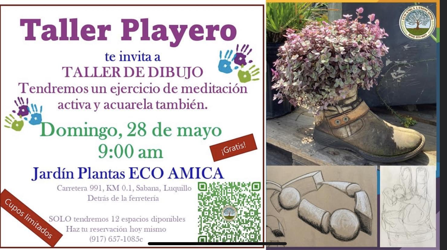 Taller Playero: Taller de Dibujo - Jardín Plantas Eco Amica
