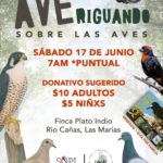 AVEriguando sobre las aves