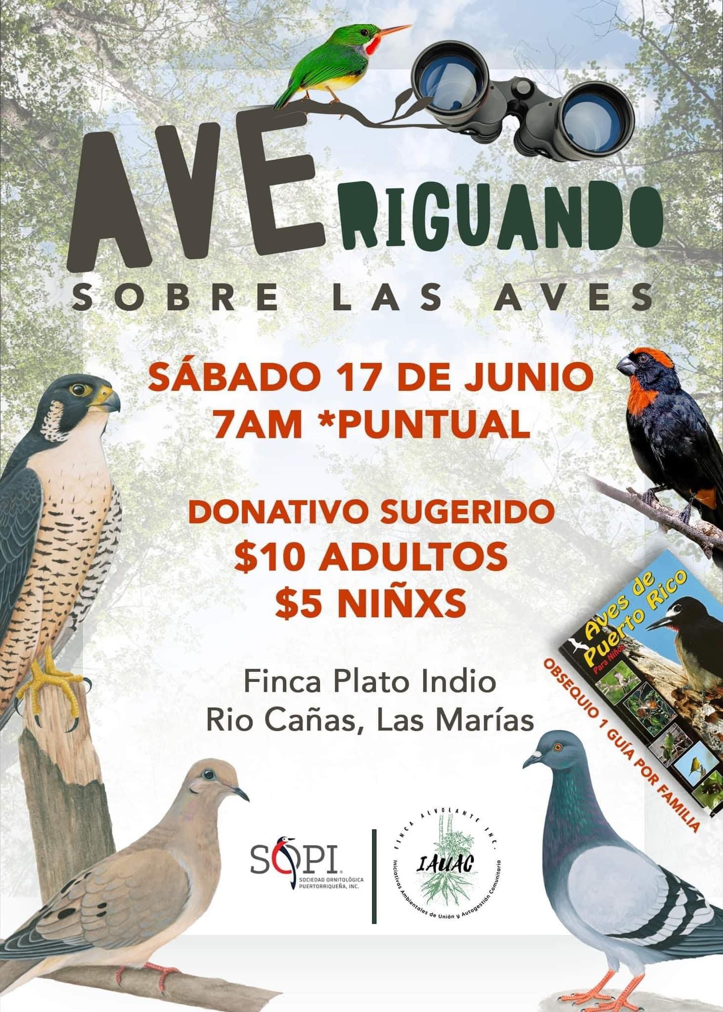 AVEriguando Sobre Las Aves Quehagoconlonenes
