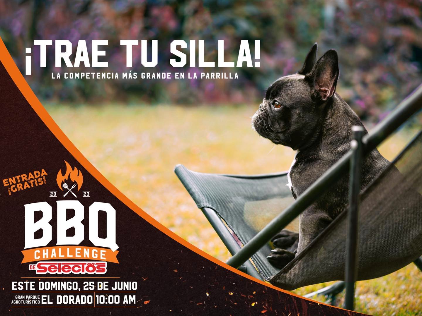 BBQ Challenge de Selectos