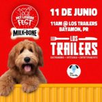 Pet Lovers Fest