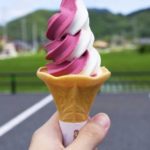 Festival de la Barquilla y el Mantecado - Jardín Botánico de Caguas