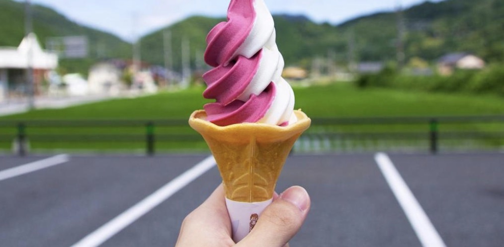 Festival de la Barquilla y el Mantecado - Jardín Botánico de Caguas
