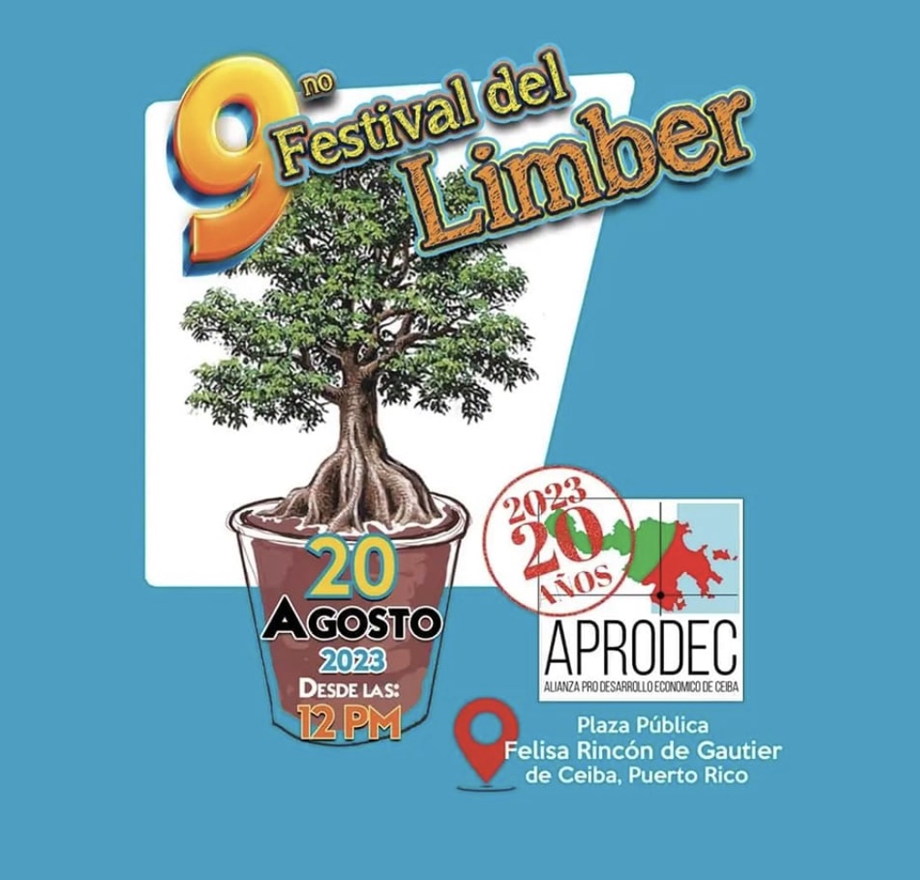 9no Festival del Limber - Estación para Niños