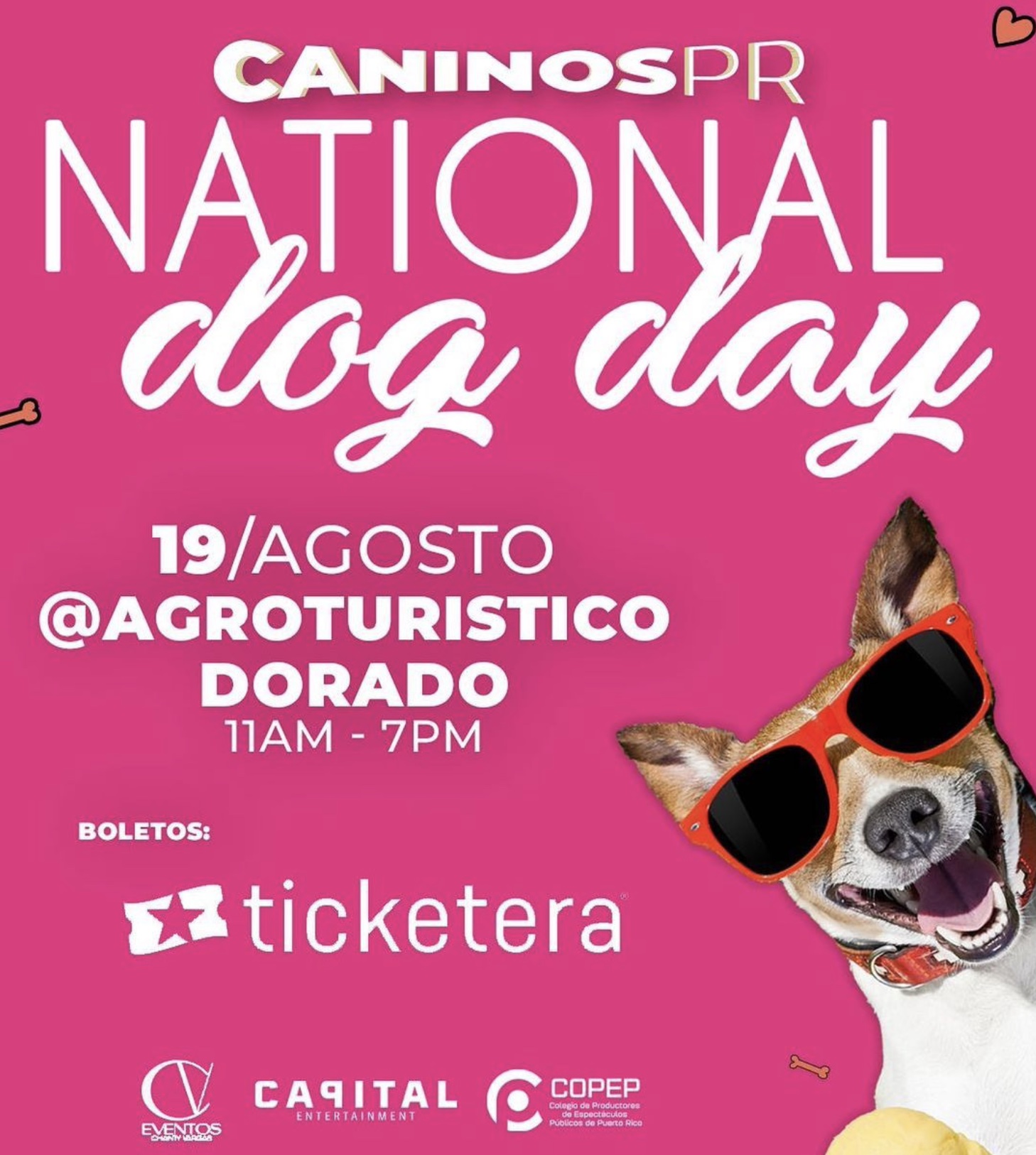 4ta Edición National Dog Day