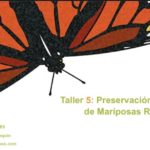 Taller: Preservación y Montaje de Mariposas Reales - Mariposario Arlequín