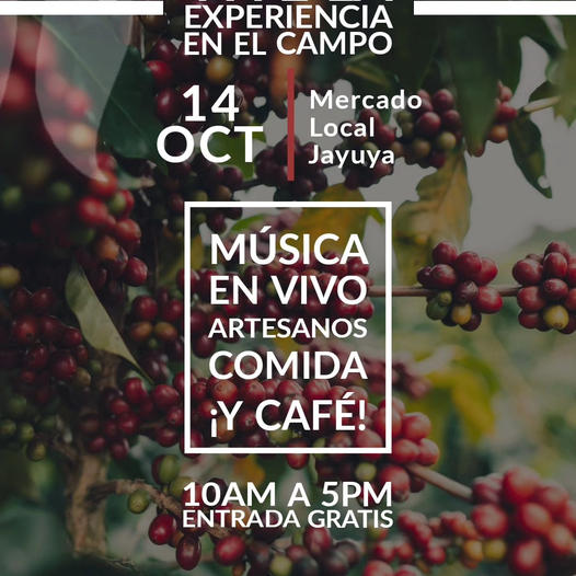 Experiencia en el Campo - Hacienda Café San Pedro