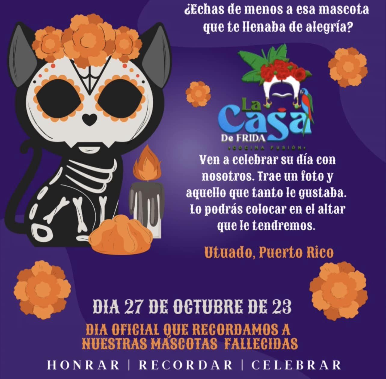 Recordando a nuestras mascotas fallecidas - La Casa de Frida