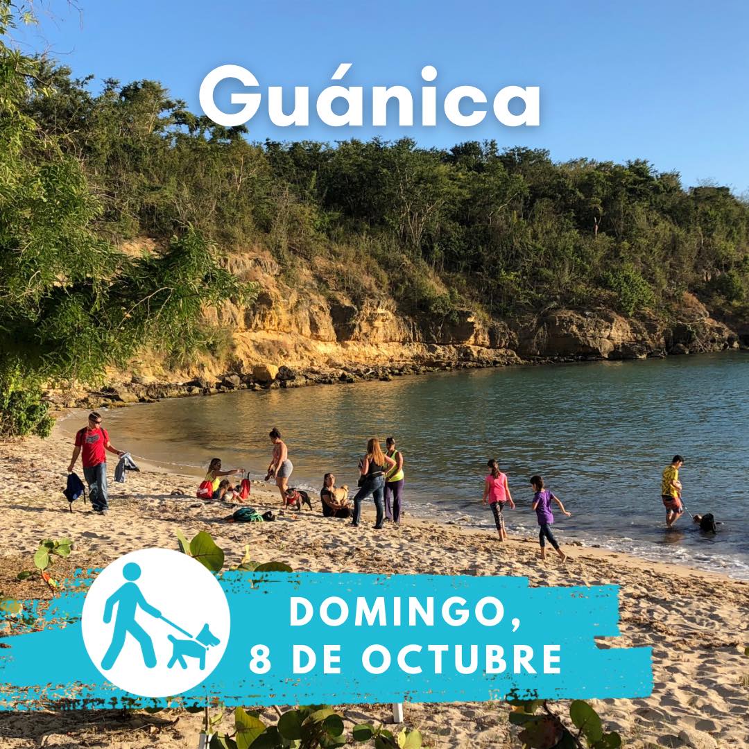 Eco Aventuras Caninas - Guánica