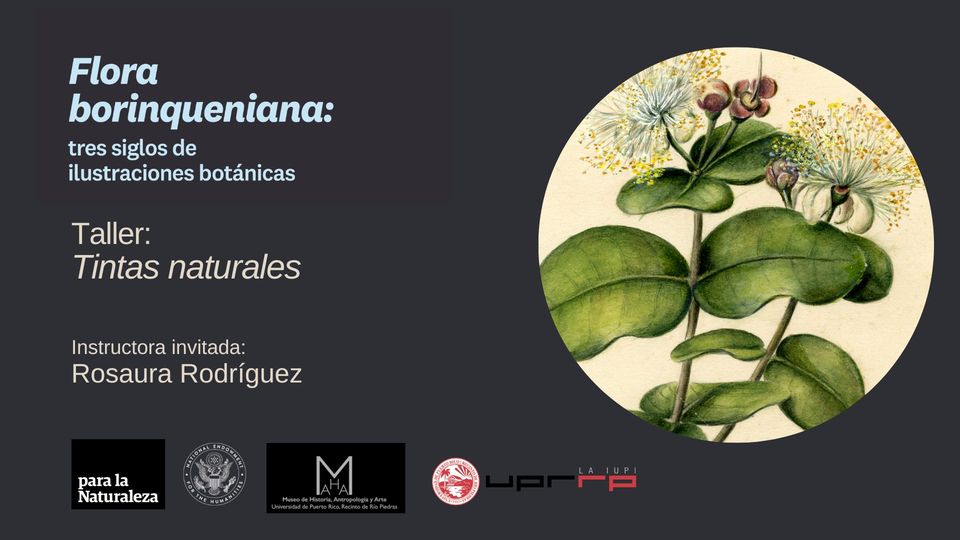 Tarde: Tintas Naturales - Museo UPRRP