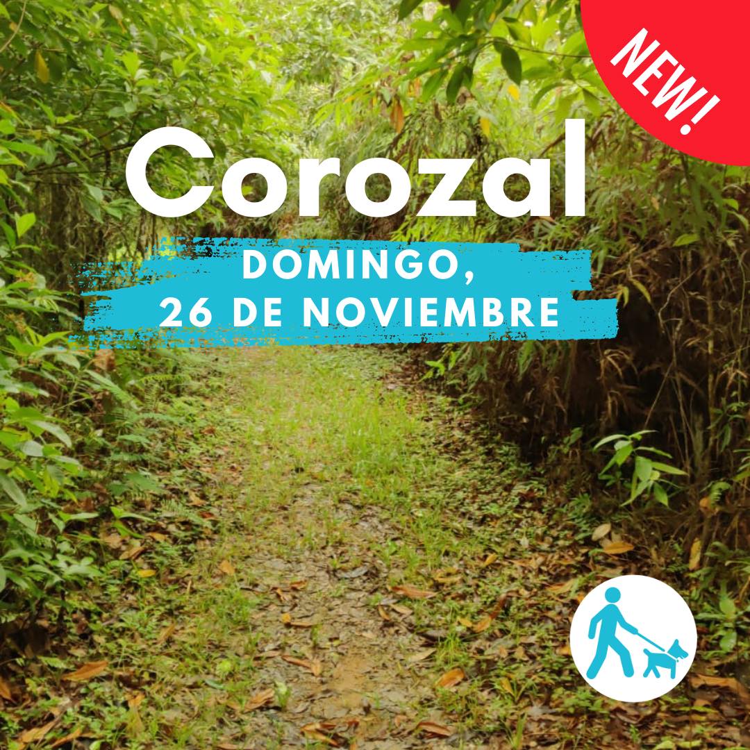 Eco Aventuras Caninas - Corozal