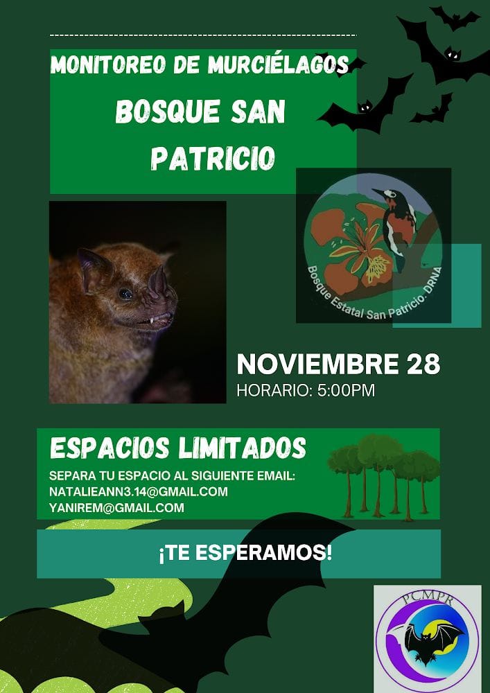 Monitoreo de Murciélagos - Bosque Estatal San Patricio
