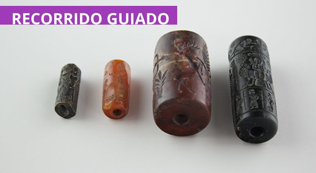 Recorrido Guiado - Museo Biblioteca la Casa del Libro