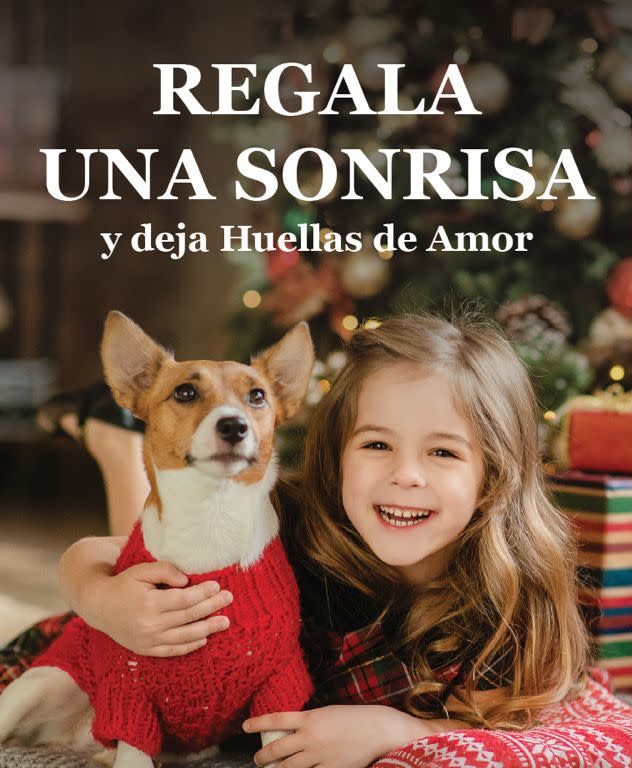 Regala una Sonrisa y deja Huellas de Amor - Rabito Kontento (1 al 15 de diciembre)