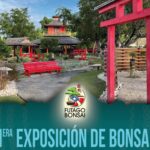 Esposición de Bonsai - Jardín Japonés del Castillo Serrallés