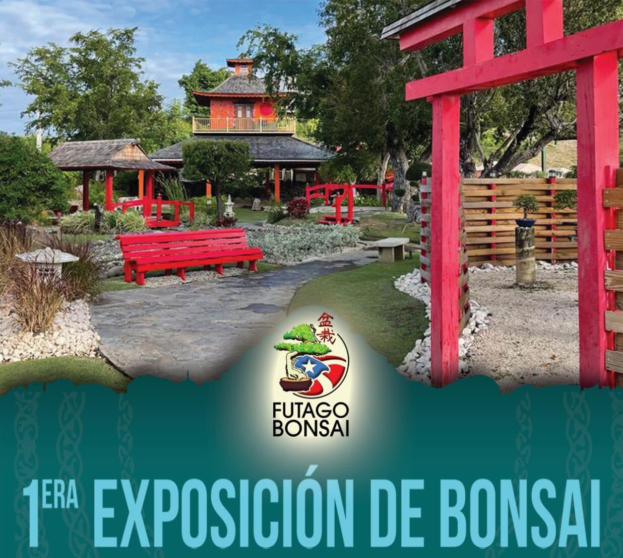 Esposición de Bonsai - Jardín Japonés del Castillo Serrallés