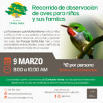 Recorrido de observación de aves para niños