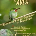 14 Censo de Aves - Liga Ecológica Quebradillana
