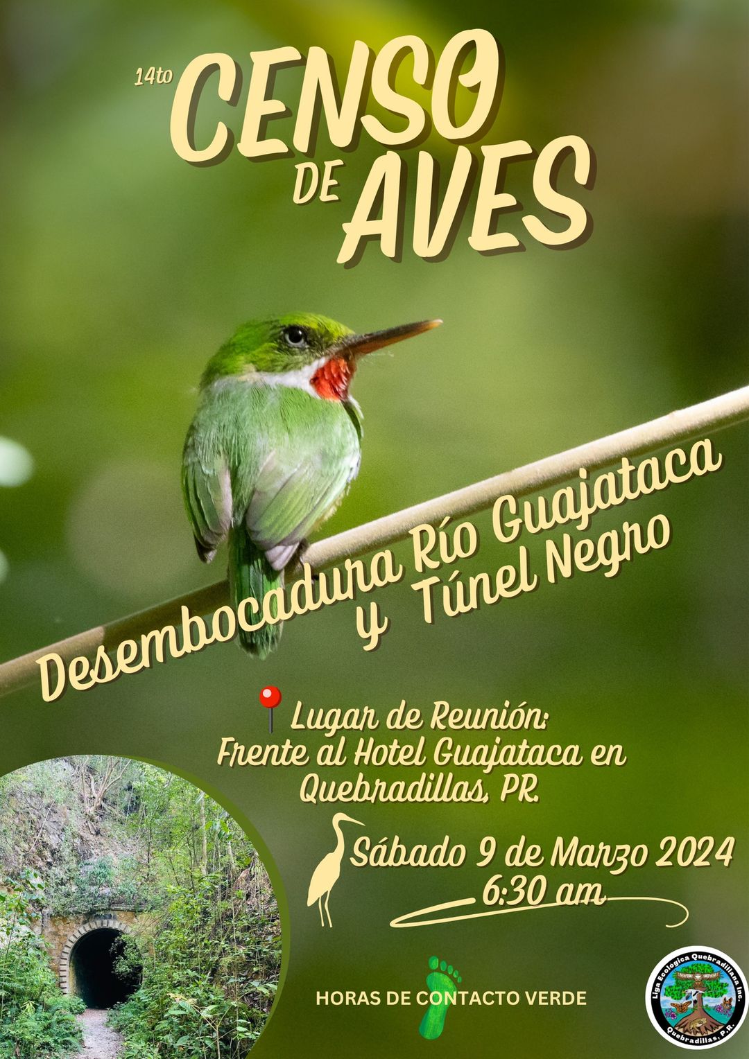 14 Censo de Aves - Liga Ecológica Quebradillana