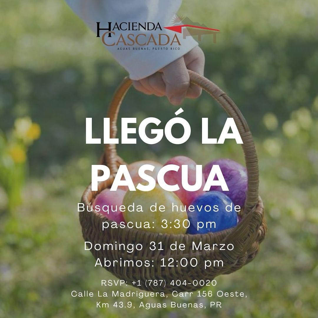 Pascua - Hacienda Cascada