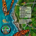 12mo Festival de la Mariposa Atlantea Tulia