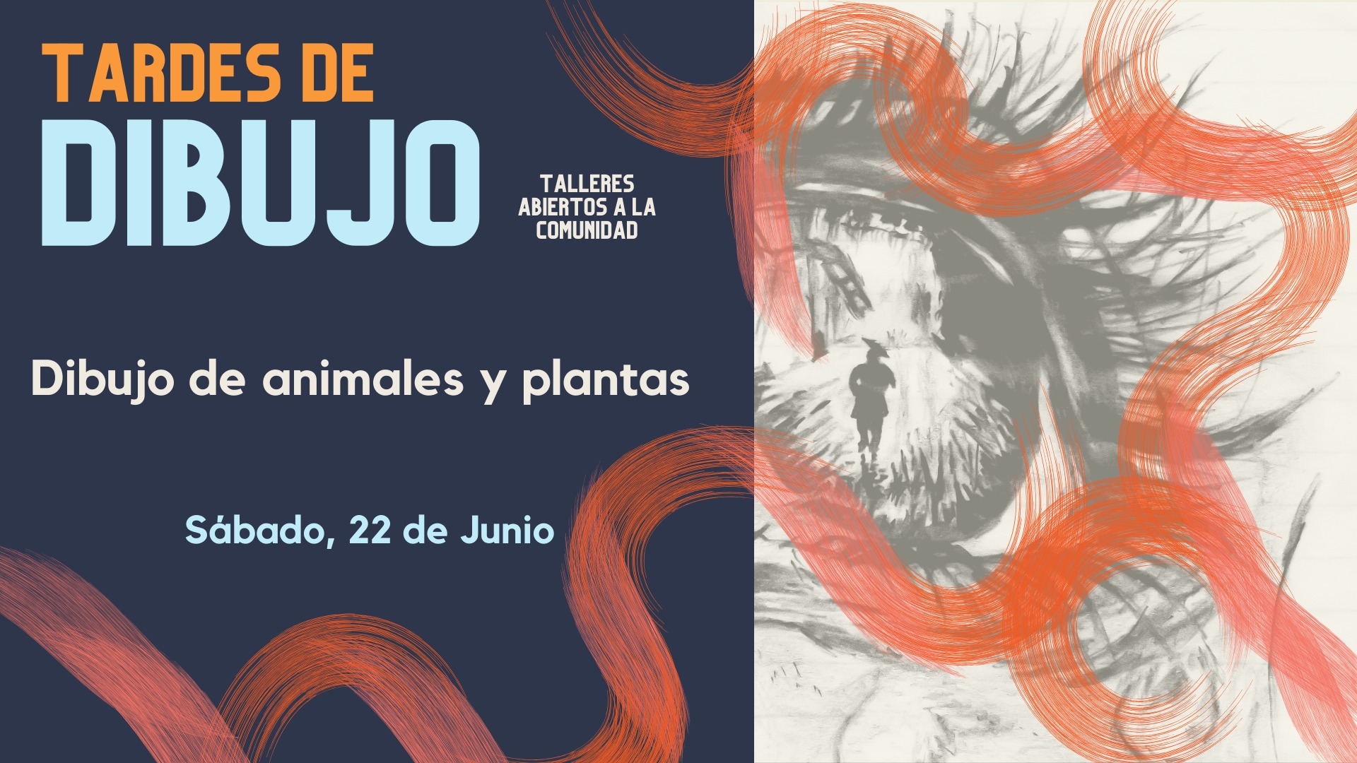 Tardes de Dibujo: Dibujo de animales y plantas - Museo UPRRP