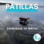 Excusión a Patillas - Eco Aventuras Caninas