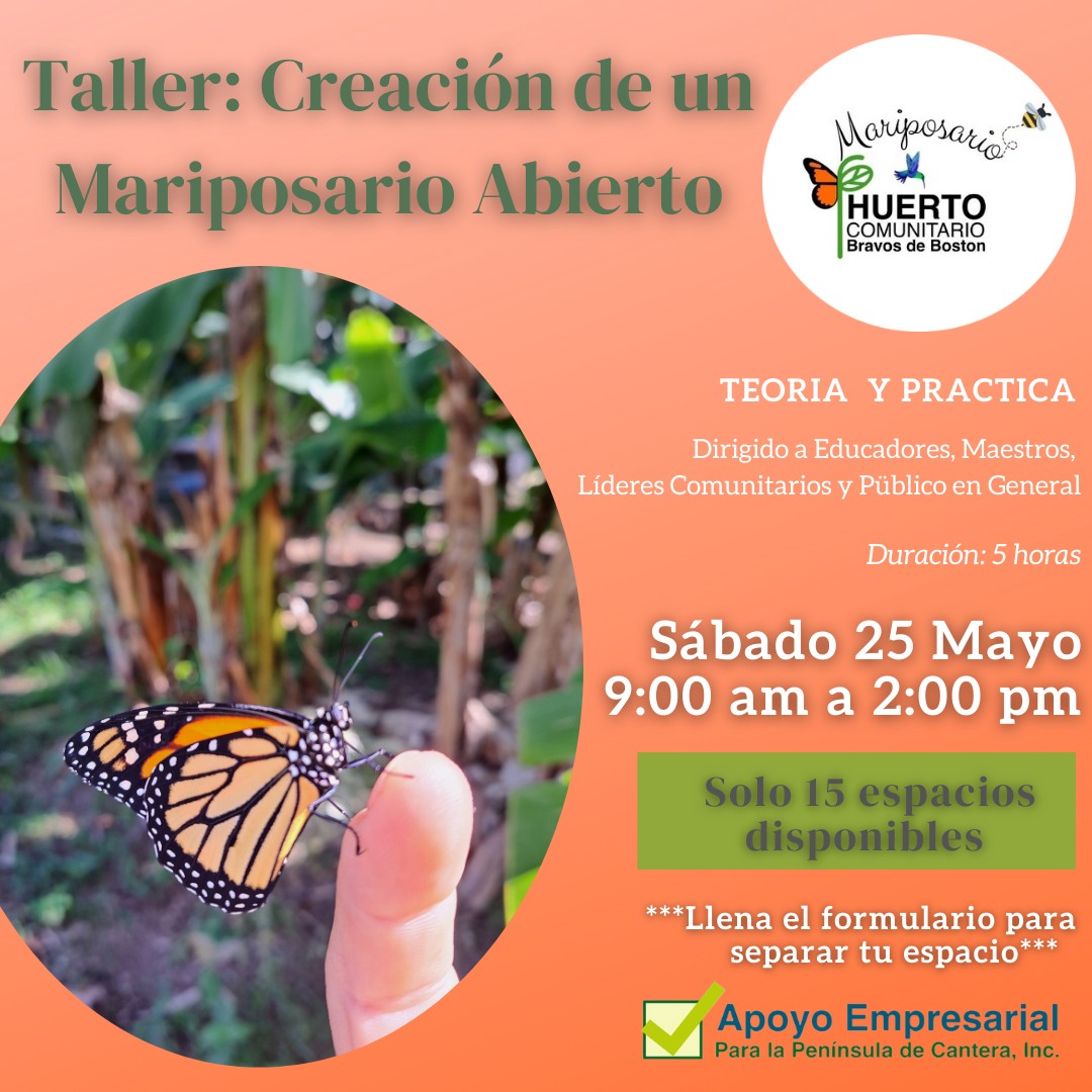 Taller: Creación de un Mariposario Abierto