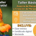 Talle Básico - Mariposario Arlequín