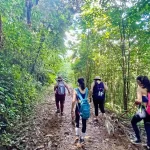 Excusión a Corozal - Eco Aventuras Caninas