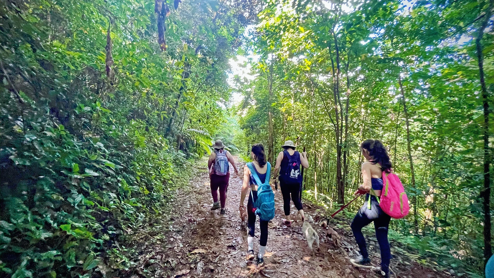 Excusión a Corozal - Eco Aventuras Caninas