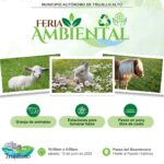 Feria Ambiental