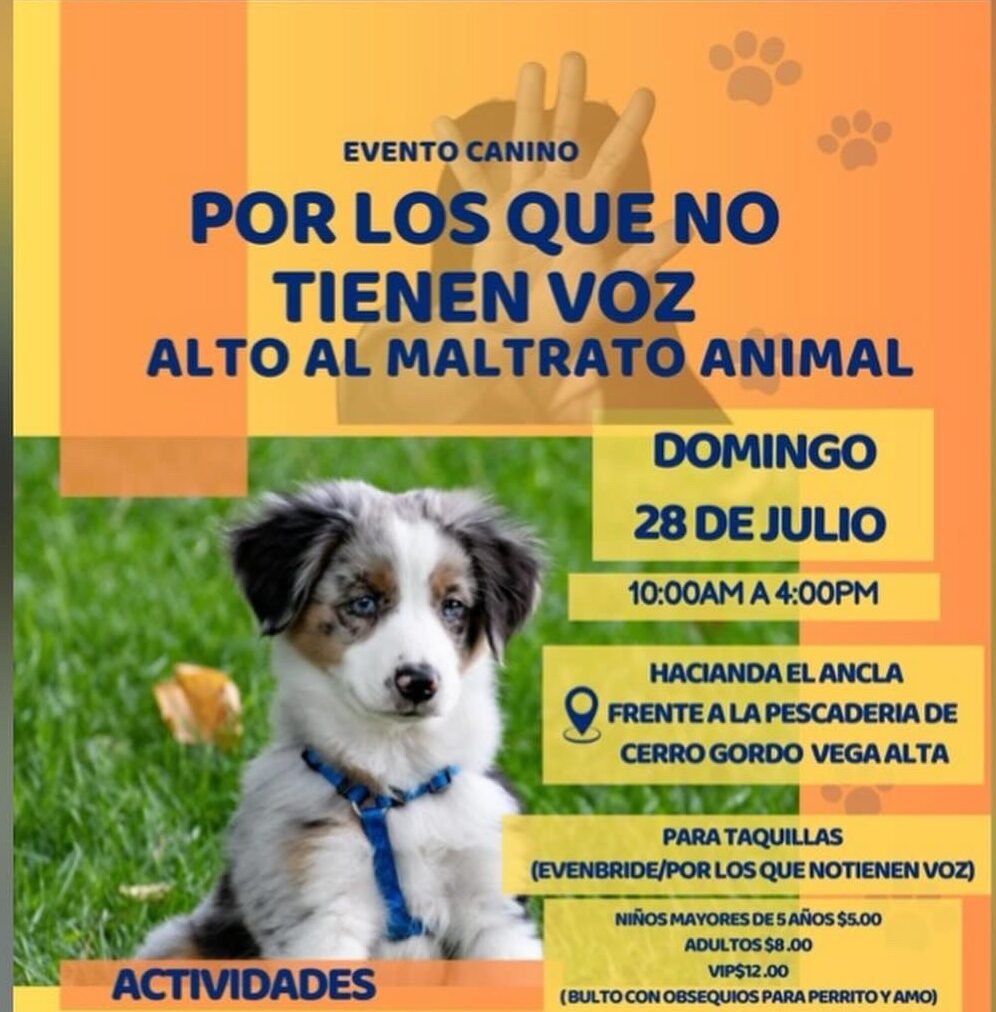 Por los que no tienen voz, alto al maltrato animal