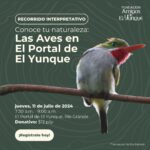 Recorrido Interpretativo - Portal El Yunque
