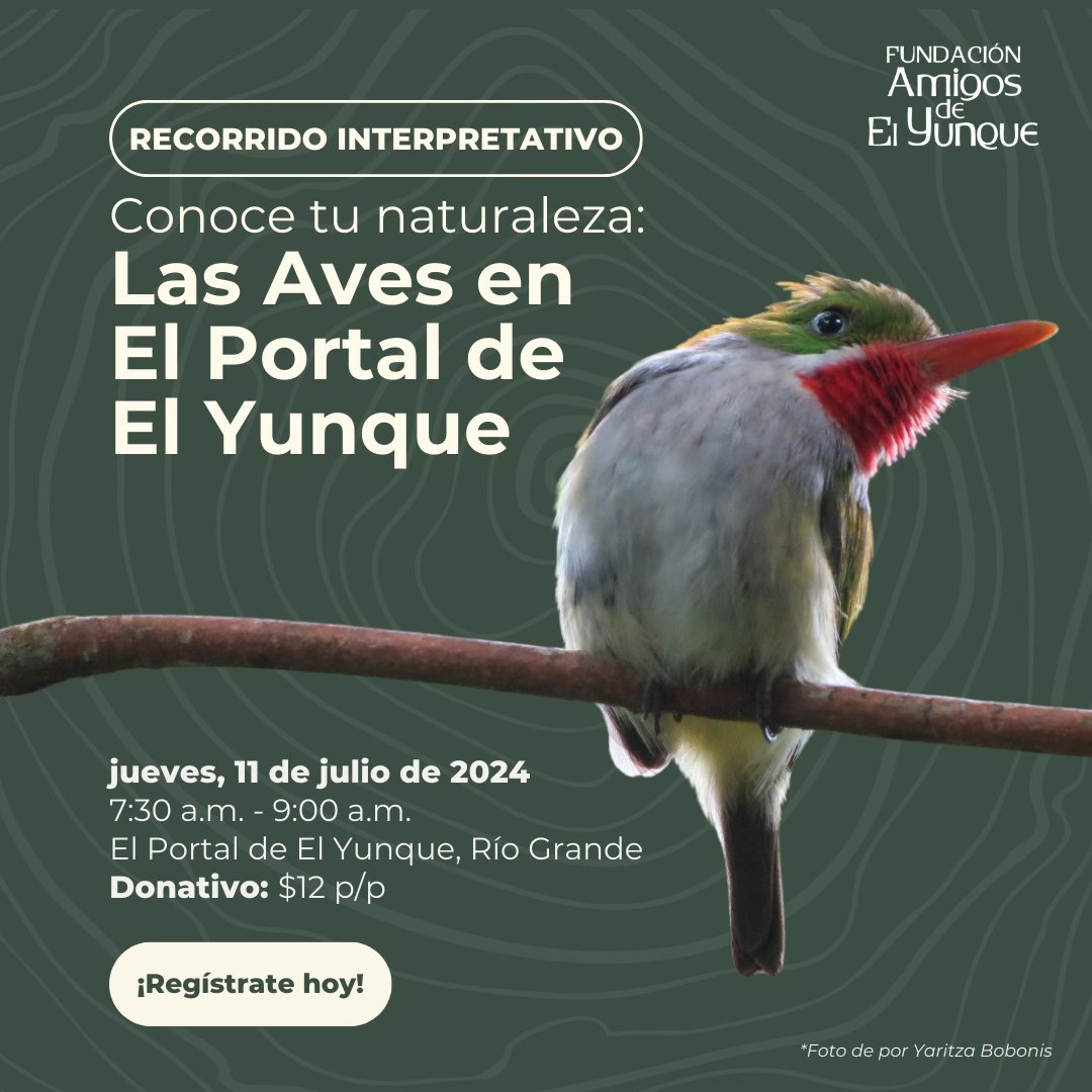 Recorrido Interpretativo - Portal El Yunque