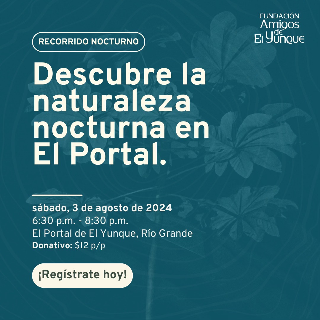 Recorrido Nocturno - Portal El Yunque