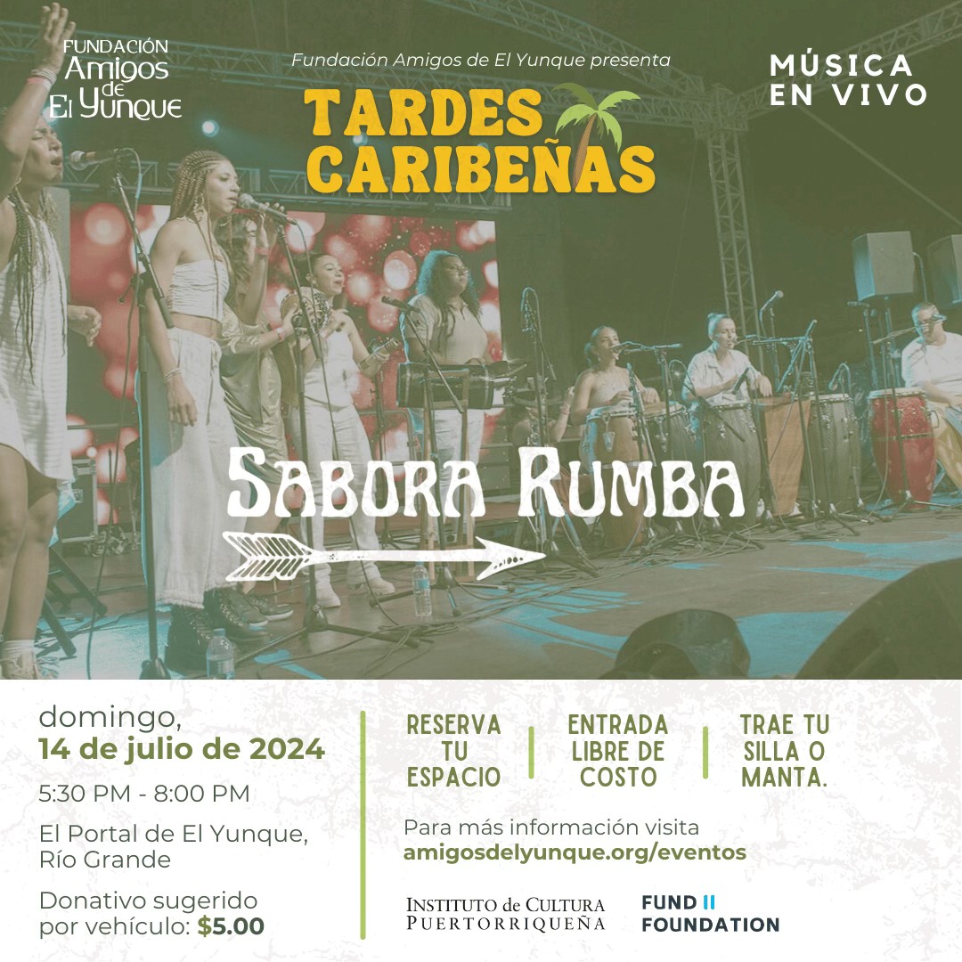 Tardes Caribeñas - Portal El Yunque