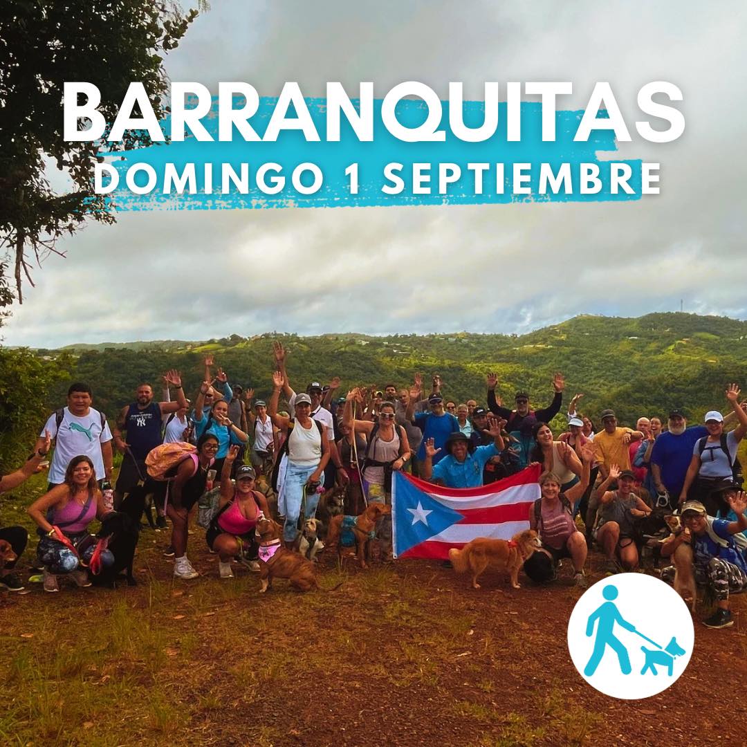 Eco Aventuras Caninas - Barranquitas