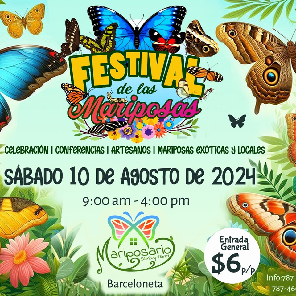 Festival de las Mariposas - Sembry Planet