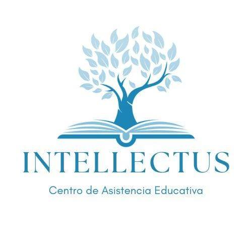 Intellectus PR LLC – Centro de Asistencia Educativa