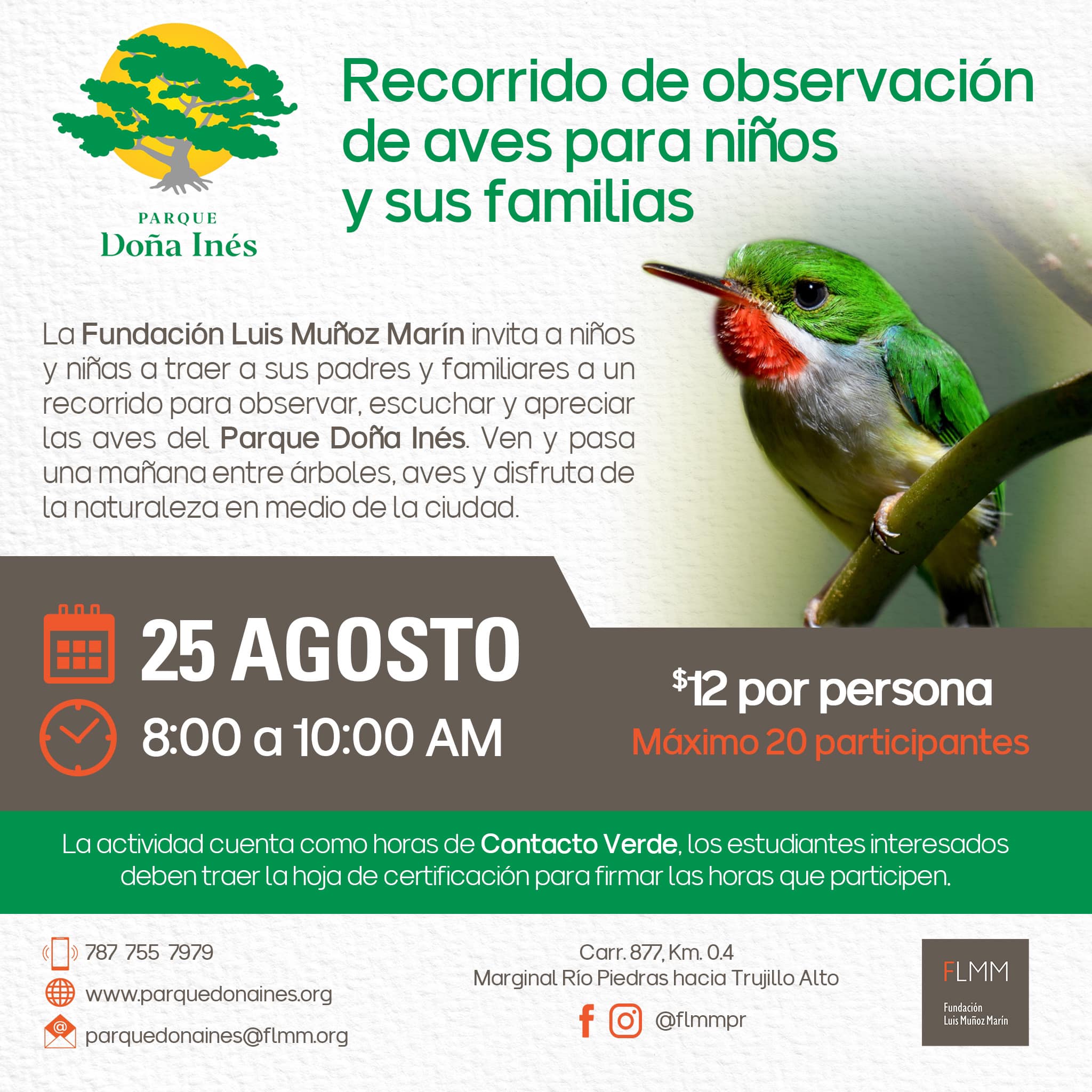 Recorrido de Observación de aves par niños y sus familias