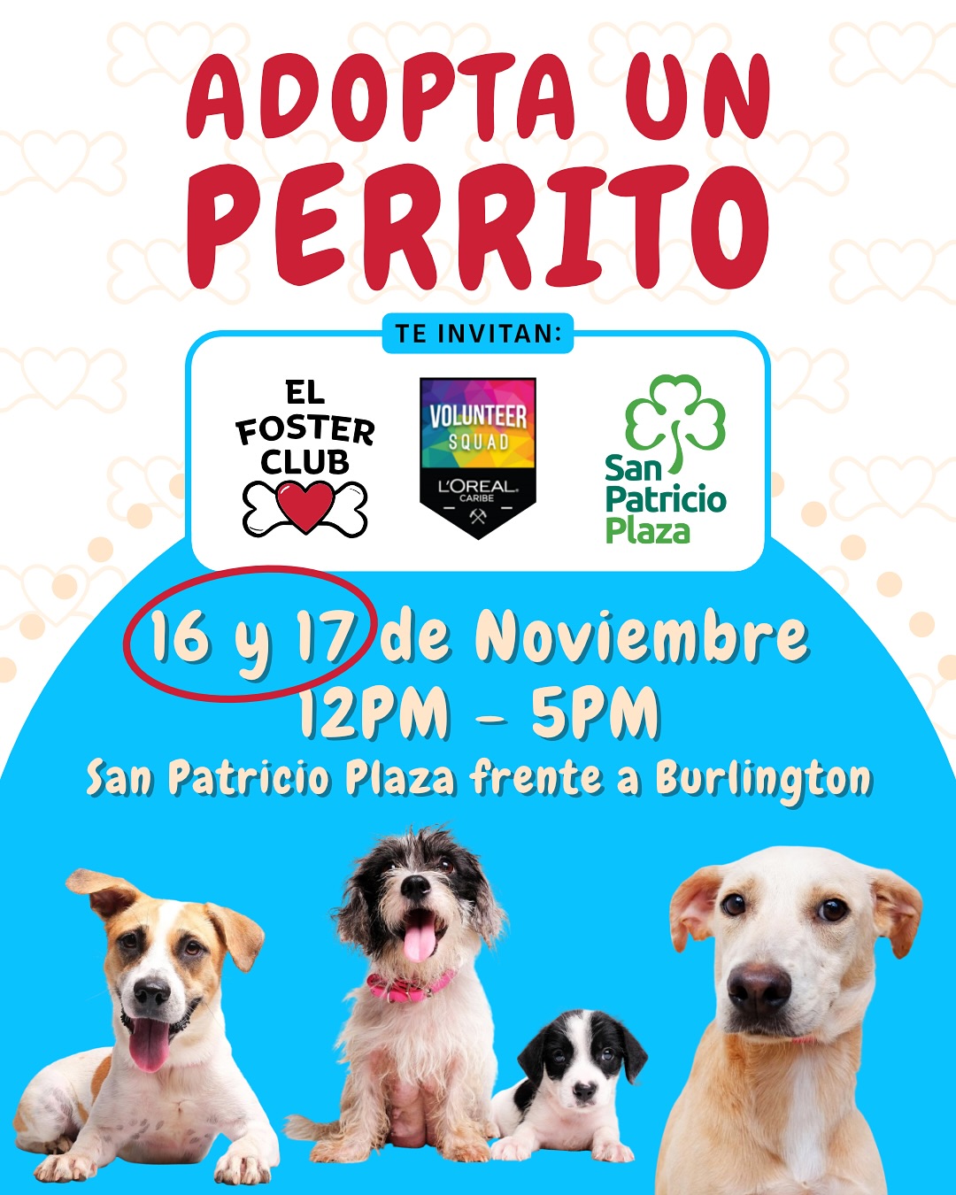 Adopta un Perrito - El Foster Club
