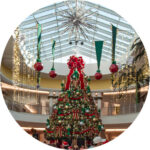 Gran Encendido de Navidad - Plaza del Caribe