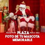 Mascotas Santa - Plaza del Caribe