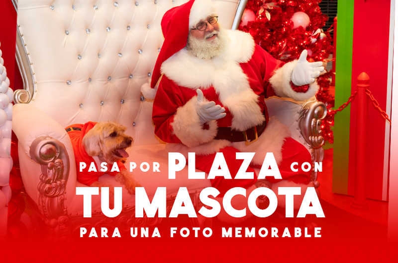 Plaza con tu Mascota - Plaza las Américas