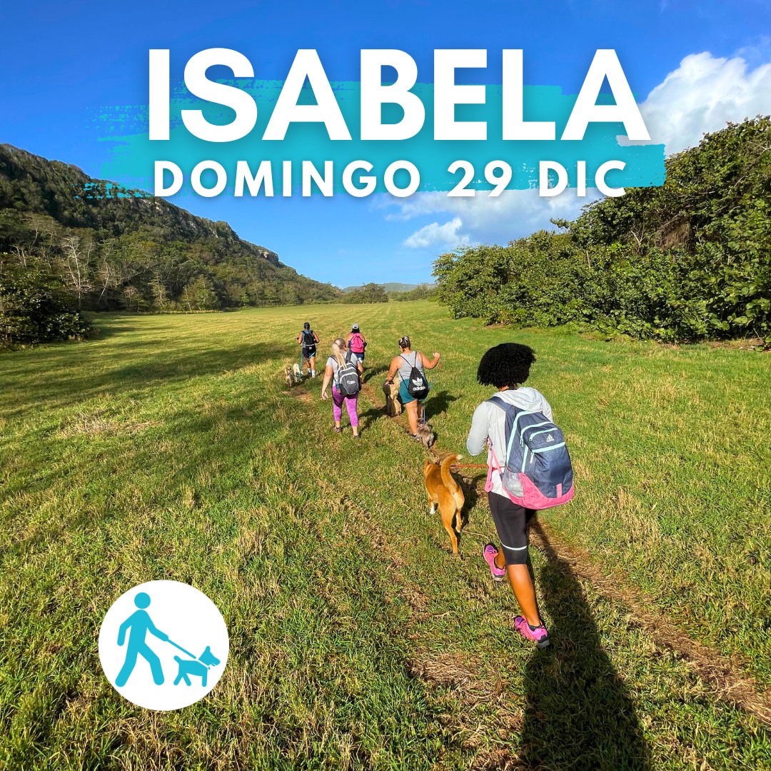 Excusión Isabela - Eco Aventuras Caninas