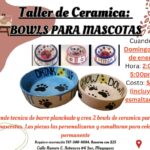 Taller de cerámica: Bowls para tus mascotas - The Art Studio